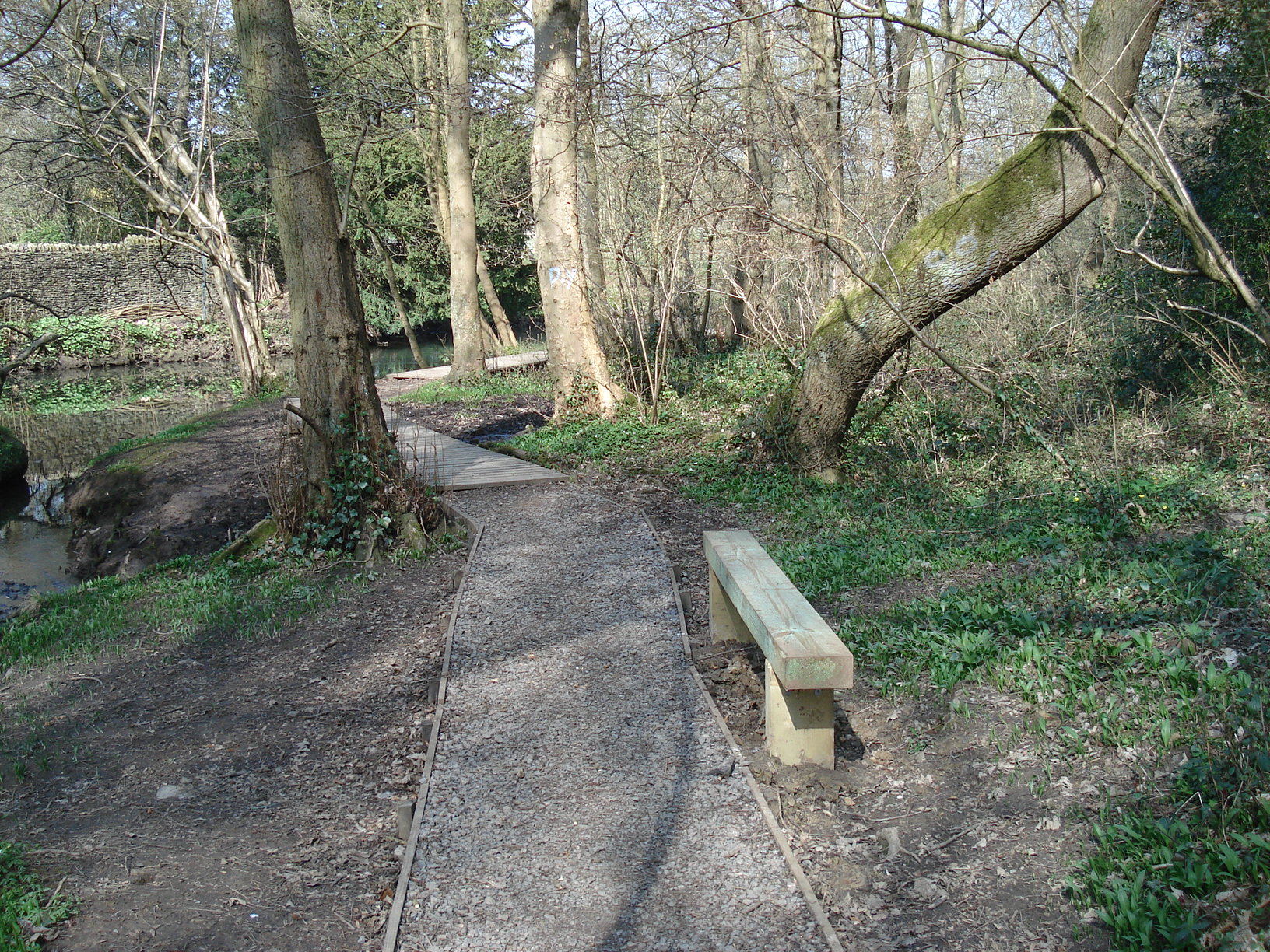 showing one of the many accessible foot paths through a wooded area along a river bank