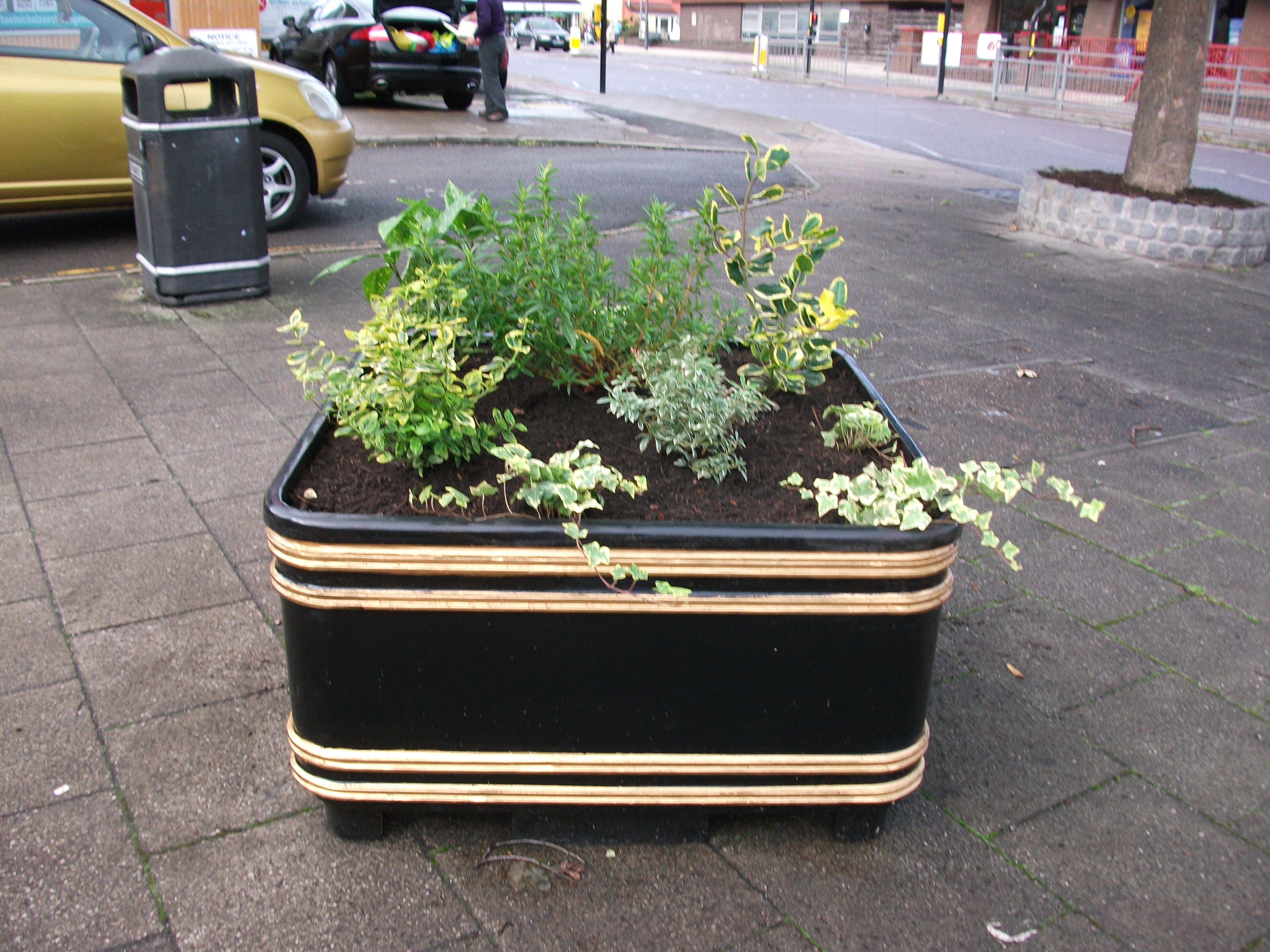 A planter with evergreens